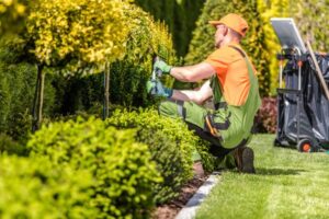Arbeiten im Garten im Herbst